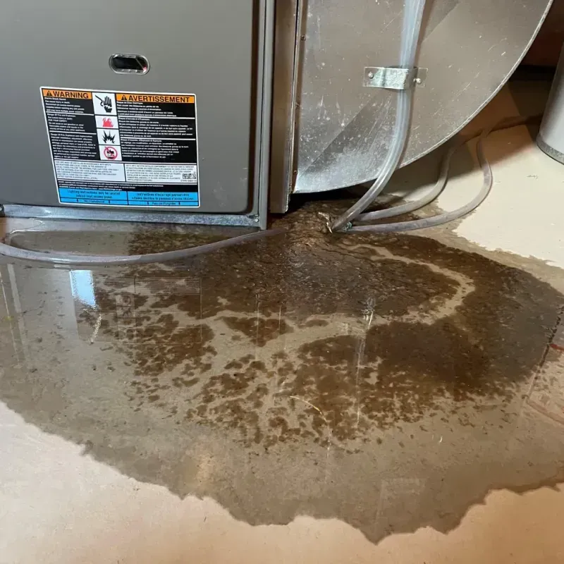 Appliance Leak Cleanup in Clay County, IN